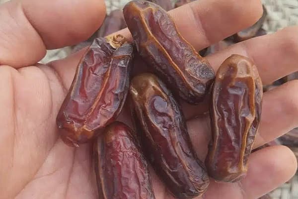 تصویر 1 از قیمت خرید خرما شاهانی صادراتی جهرم عمده به صرفه و ارزان